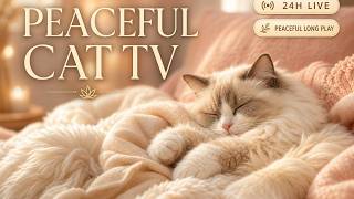 LIVE 24 HOURS Calming Music for Cats 🐾 Soothing Cat TV for Anxiety, Sleep & Relaxing screenshot 5