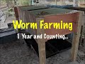 Worm Farming: 1 Year Later