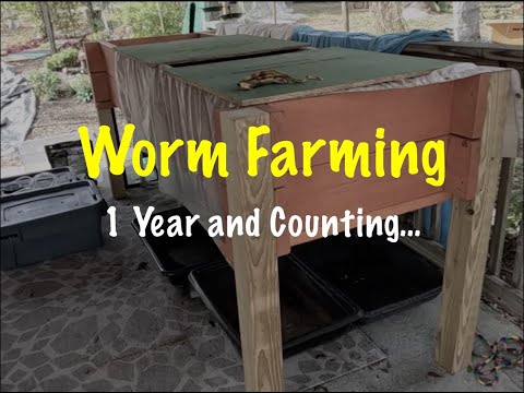 Worm Farming: 1 Year Later