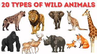 Names of wild animals | 20 Wild Animals for Kids | Learn Animal Names in English with videos &amp; Fun