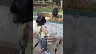 WOW 😮😲Little Girl Meets One of the World's Most Dangerous Birds! 🦤 Cassowary | Amazing Zoo adventure