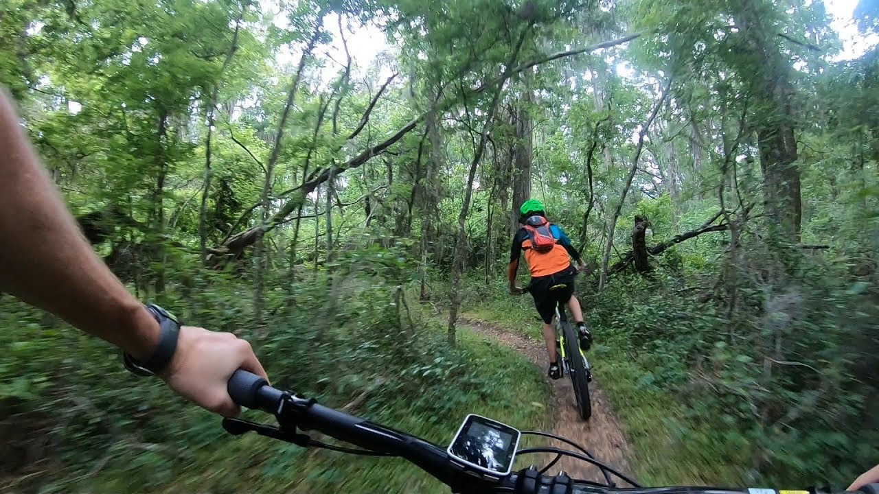 Путешествие по Северной Джорджии с Доусоном. Часть 1 - Маршрут «Зеленая гора».