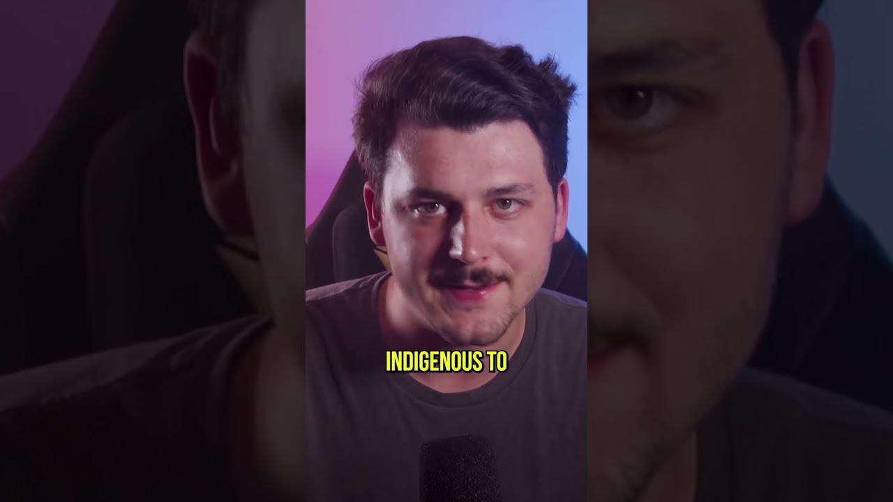 This Is What Really Happened in Israel