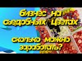 Съедобные цветы как бизнес! Как открыть ферму микрозелени и съедобных цветов?