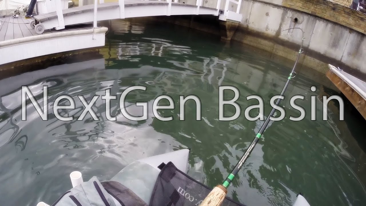 Newport Harbor - Spottie Reunion