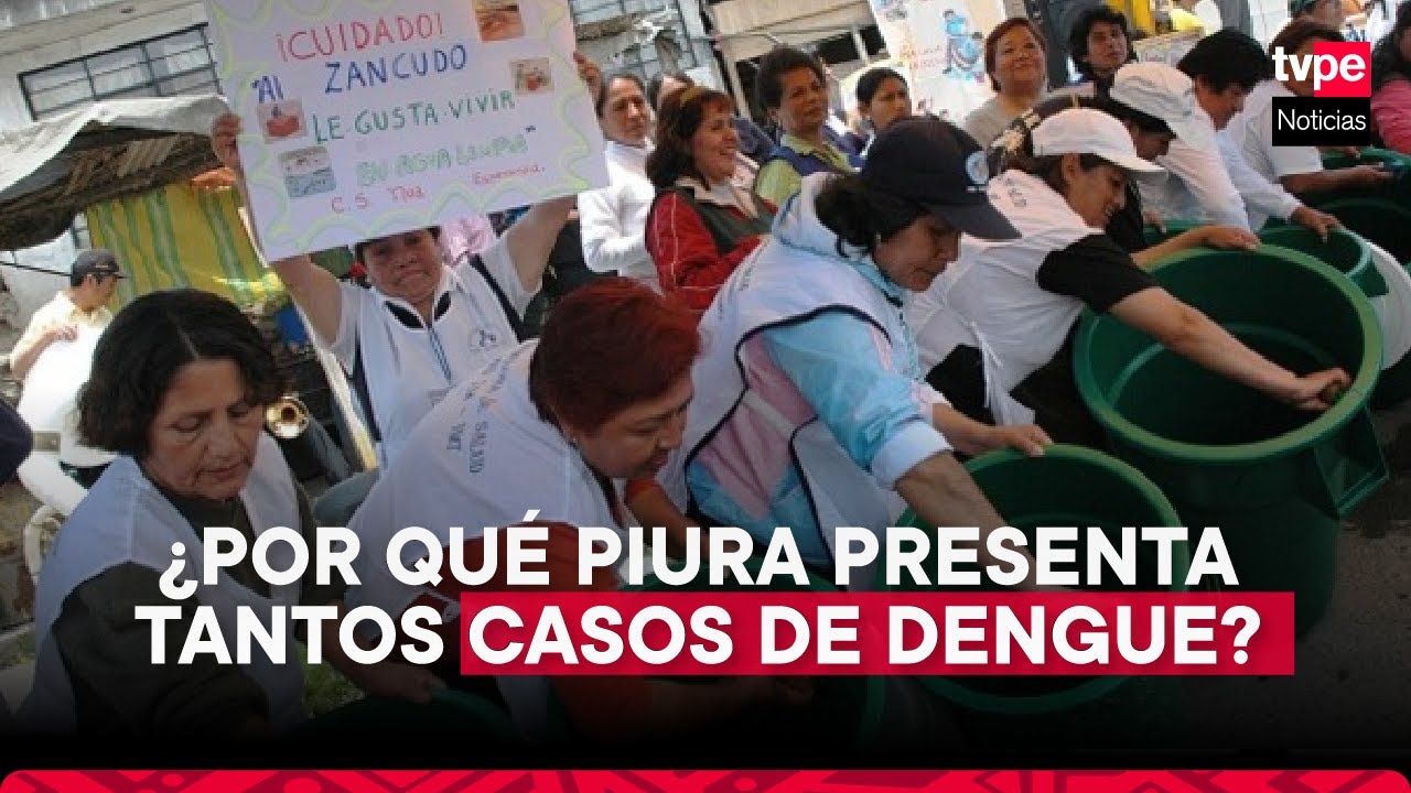 DENGUE EN EL PERÚ: situación de PIURA y la razón de los numerosos ...