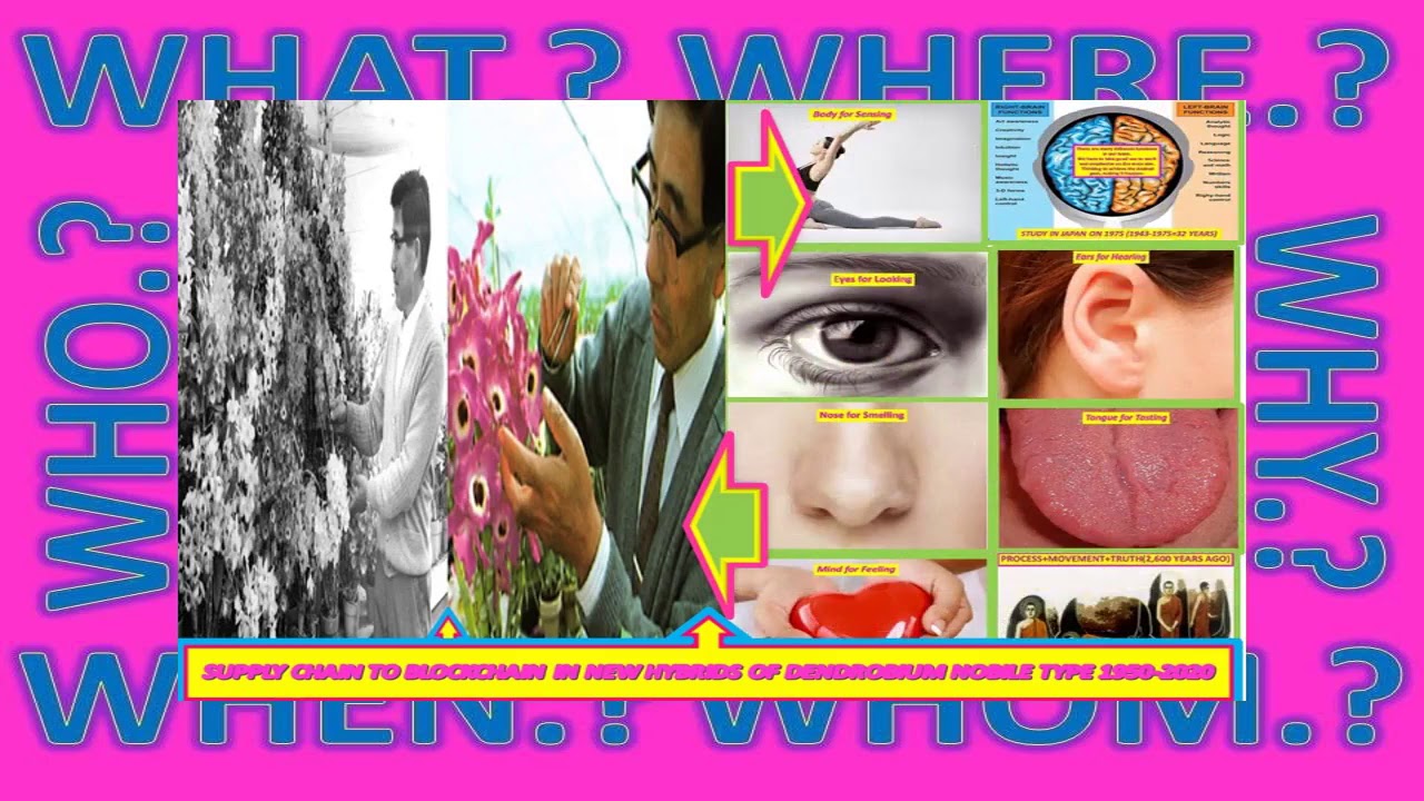 MOVEMENT(BODY SESATION)+IOT+MR.JIRO  YAMAMOTO FOR WORLD RULE OF LAWS ON 1943-1992