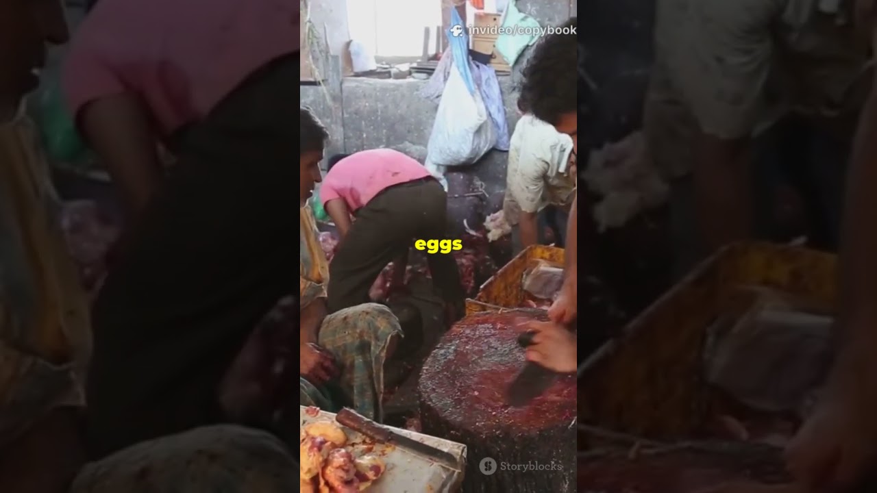 India’s 2025 Animal husbandry stats: Mind blowing numbers !