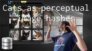 Use Perceptual Image Hash as Database Primary Key for Cats
