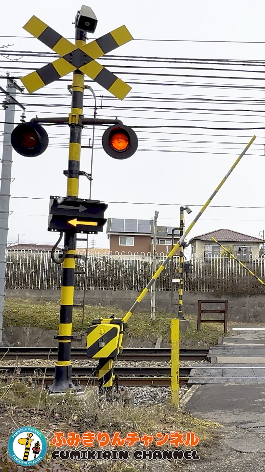 踏切 電車】なにが通るかな？？？【ふみきりショート動画223】 #shorts