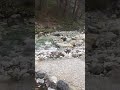 IMG 3205