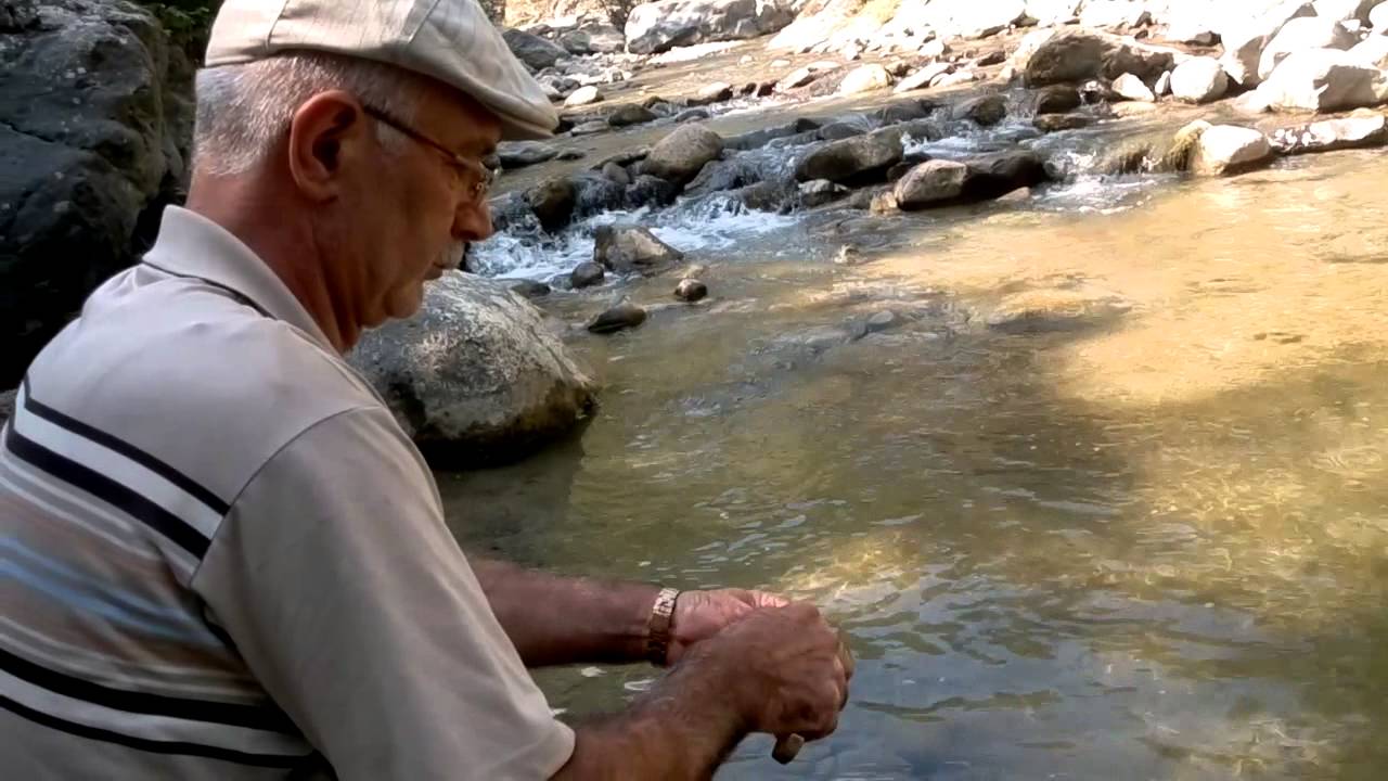 paşaşeyh köyü kanli güney çayı & deresi balik avı