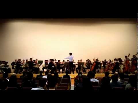 P.Tchaikovsky Scene from Swan Lake / P.チャイコフスキー　白鳥の湖　情景（第2幕）