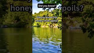 Eye-Opening Insights: Did You Know?