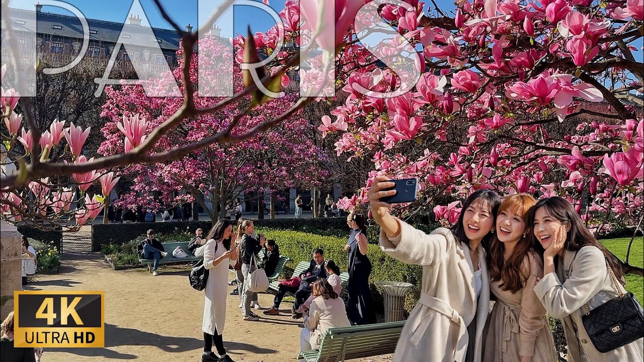 [🇫🇷Paris France 4K 120FPS Walking Tour] Beautiful Spring Walk in Paris   04/March/2026