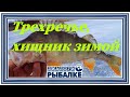 Диалоги о рыбалке - 089 / Трехречье. Хищник