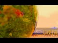 BlueScarf - Goldfish (Official Lyrics Video)