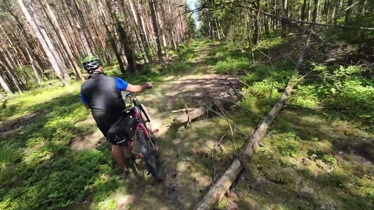 Okolo Třeboně červen 2025