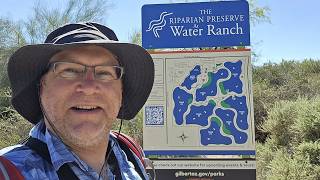 Birds of the Riparian Preserve at Gilbert Water Ranch