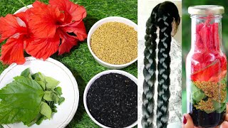 नारियल तेल में यह मिलाकर लगाओ सुबह तक बाल 1 इंच लंबे हो जाएंगे How to grow Faster? Hair Growth screenshot 2