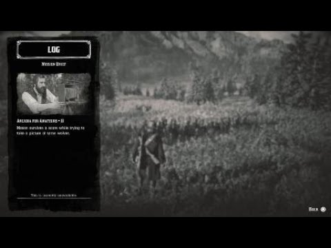 Red Dead Redemption 2 Arcadia for Amateurs II Wolves Attack - YouTube