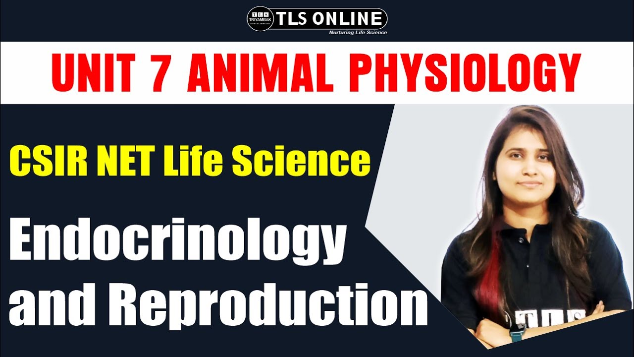 System Physiology Animal I Endocrinology and Reproduction I CSIR NET Life Sciences | Shruti Shukla |