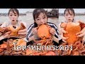 โคตรหมึกกระดอง กินสไตล์จีน | Giant Squid | Eating show