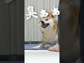 臭鬼2026初秋の陣