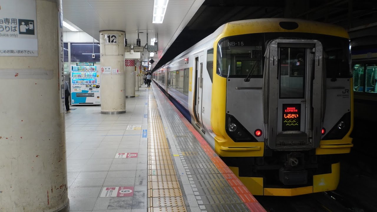 4K60fps前面展望]E257系500番台(特急しおさい)(総武本線)【東京-銚子