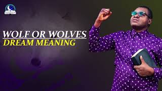 Wolf Or Wolves Dream Meaning - Biblical Interpretation And Symbolism