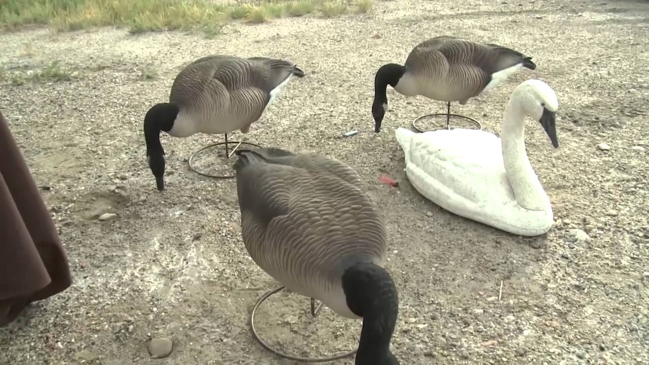 hunting simulator pc Utah Youth Waterfowl and Outdoor Festival