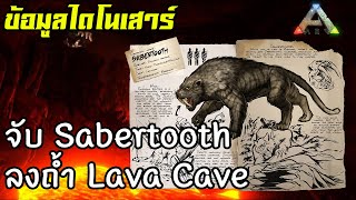 ลองเอา Sabertooth ไปลงถ้ำ Lava Cave คนเดียว 😨 [ARK: Survival Evolved ไทย/TH] ข้อมูลไดโนเสาร์