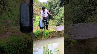 Must-Have Outdoor Fishing & Shrimp Catching Tool 🎣 Easy & Smart Fishing Hack #Fishing