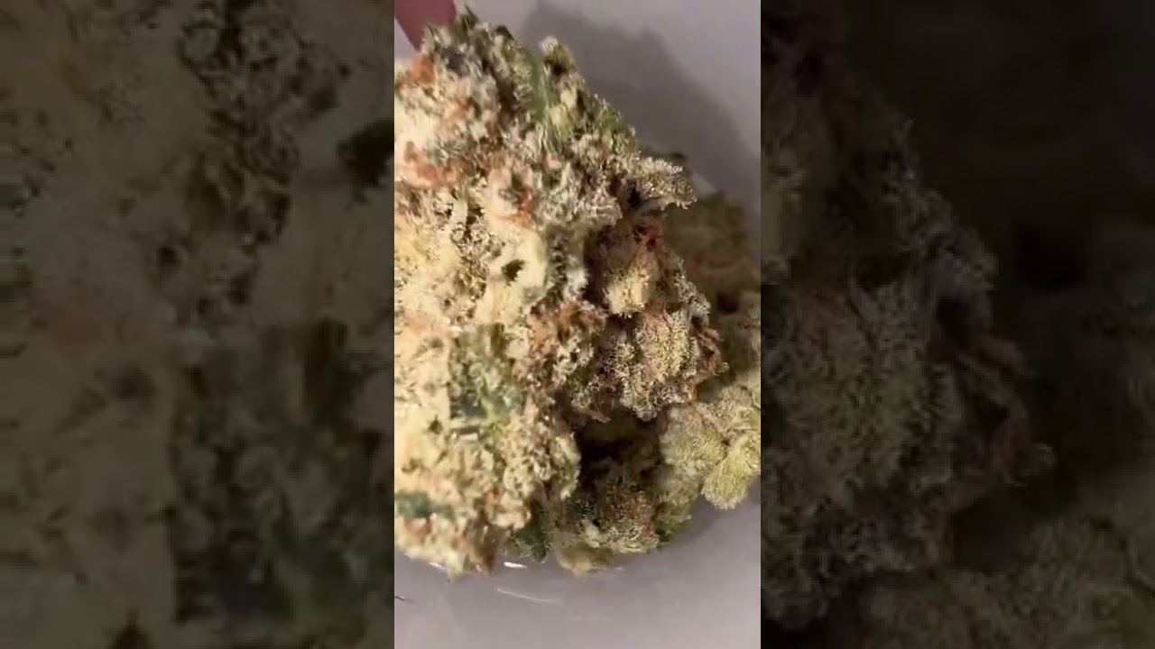 CBX: CEREAL MILK STRAIN REVIEW (OUT NOW)