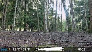 Nature Watch - Wellington Country Park