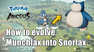 How to evolve Munchlax into Snorlax in Pokémon Legends Arceus