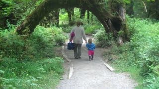 Hiking the Hall of Mosses