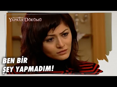 Herkes Ferhunde'yi Suçluyor! - Yaprak Dökümü 67. Bölüm