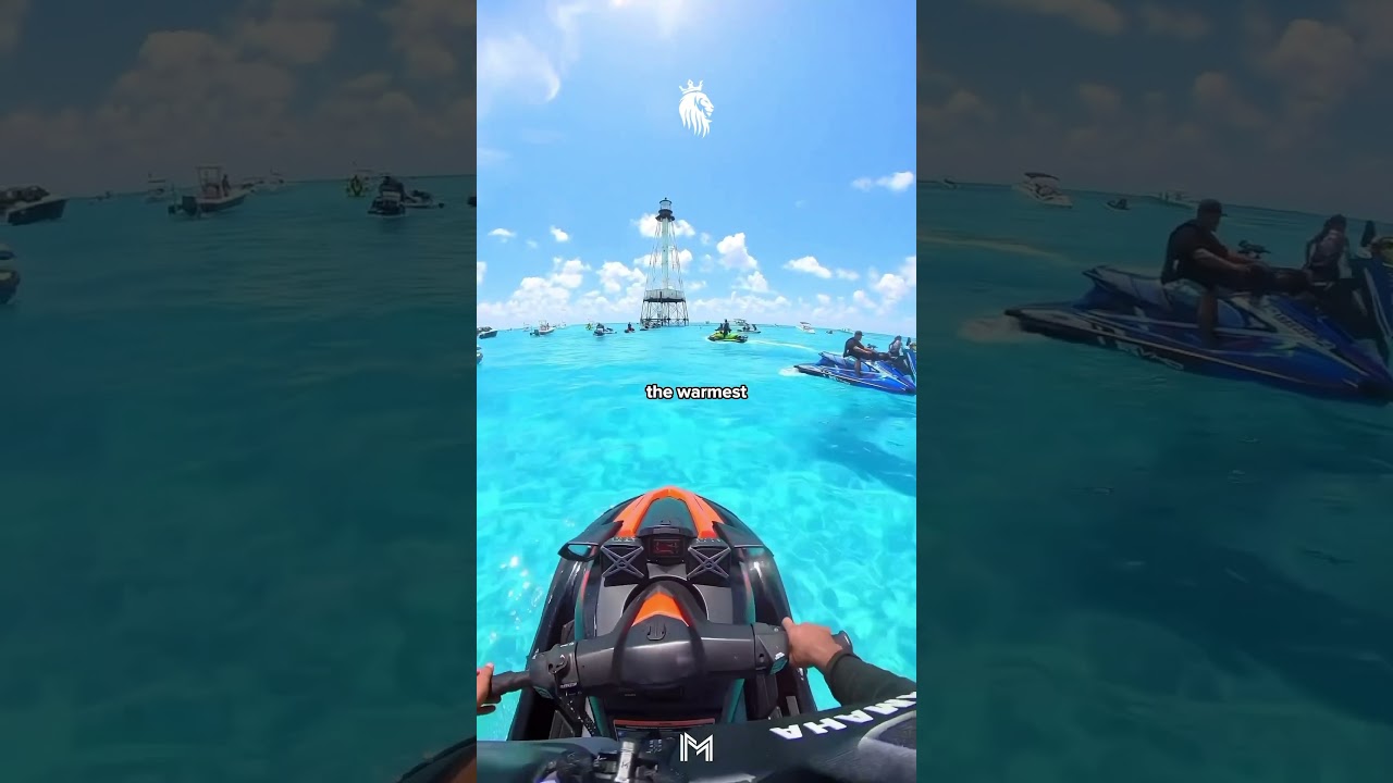 EMBRACE SACRIFICE 🩸 