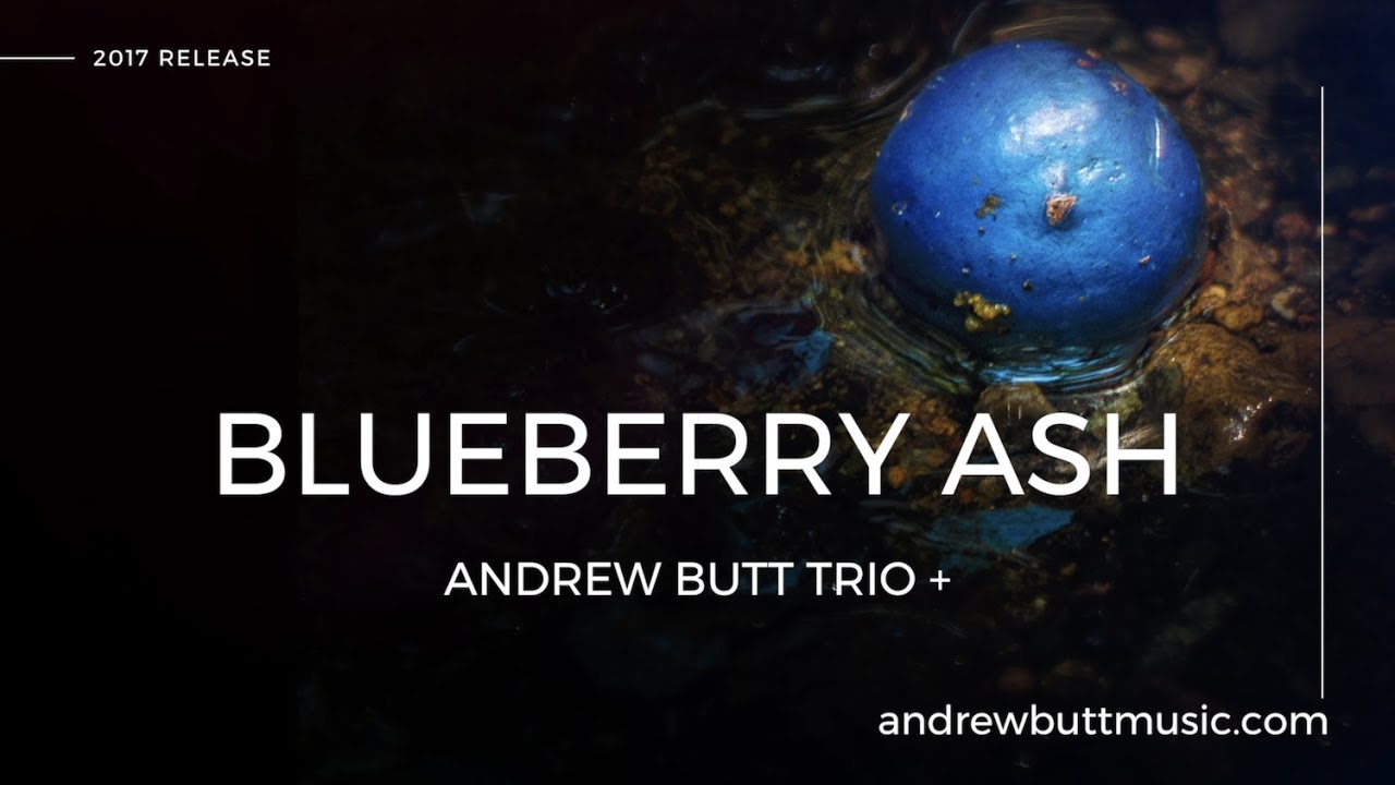 Blueberry Ash Promo