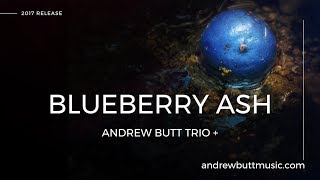 Blueberry Ash Promo screenshot 5