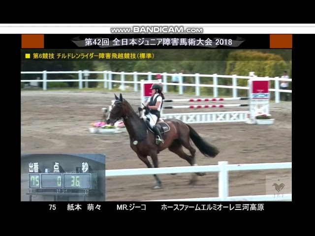 全日本ジュニア障害馬術大会 チルドレンクラス 標準障害飛越競技 Youtube