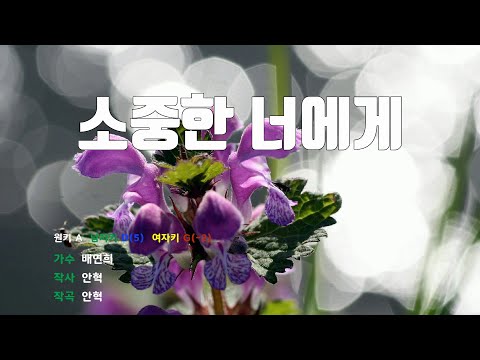 [은성 반주기] 소중한너에게 - 배연희