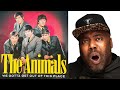 Shocking vocals  the animals  we gotta get out of this place reaction
