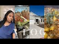 Vlog last time house hunting we bought a house home decor shopping cooking curkey turkey