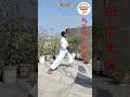 #Karate combination #shotokan karate #short video