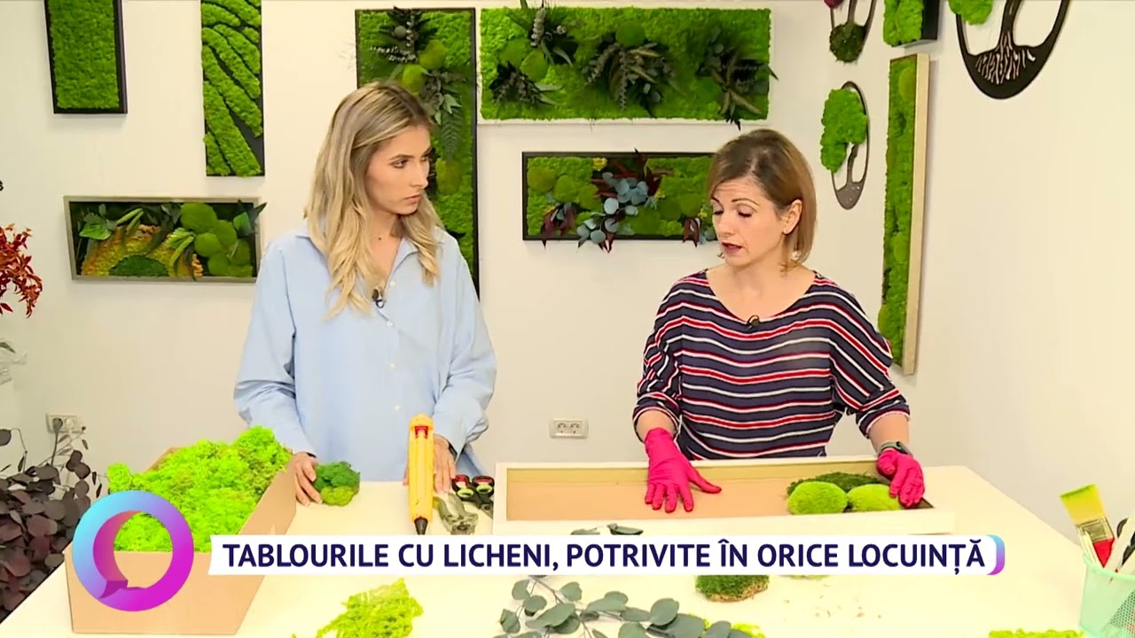 Tablourile cu licheni, potrivite în orice locuință