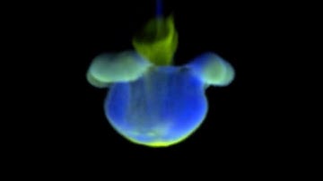 INK DROP SIMULATION BY USING SMOKE SIMULATION