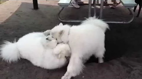 Digging a hole