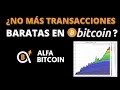 Mempool de Bitcoin congestionada ¿Afecta esto el precio? - 09/05/2023 - Alfa Bitcoin